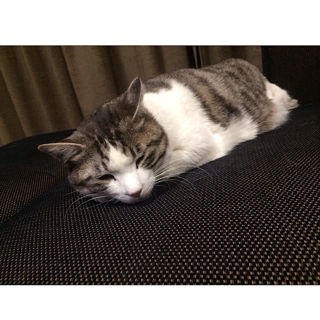 cherryさんの実例写真