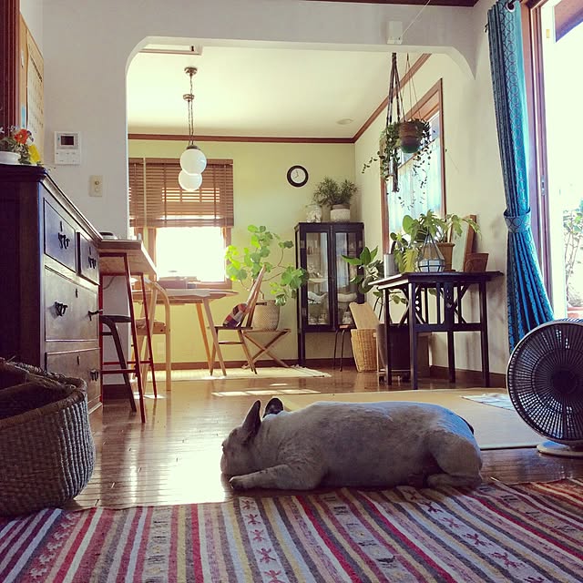 Fumikaさんの実例写真