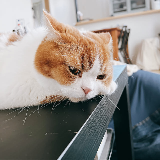 akoさんの実例写真
