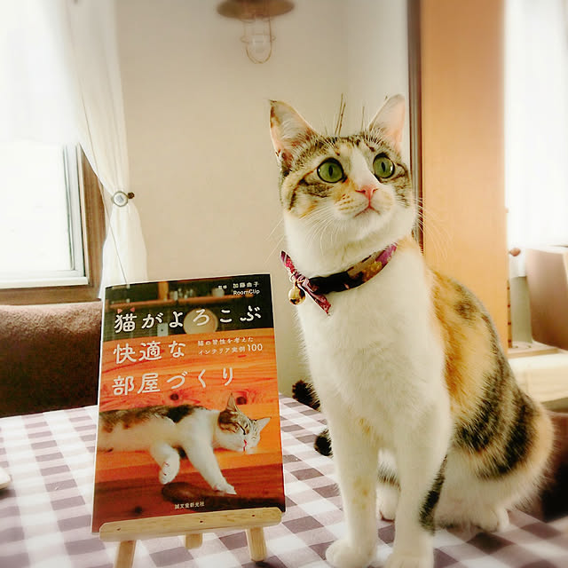 Yoko.555さんの実例写真