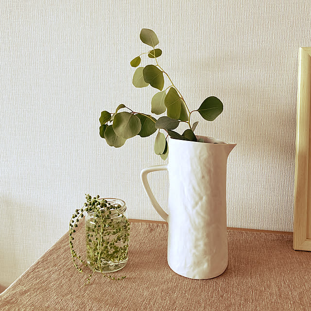 観葉植物/北欧/リビングのインテリア実例 - 2021-06-10 11:52:04