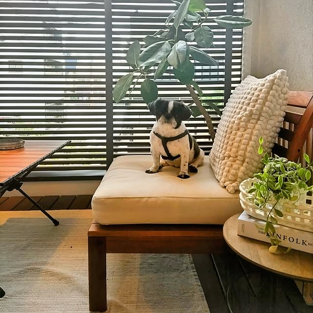 yukotanさんの実例写真