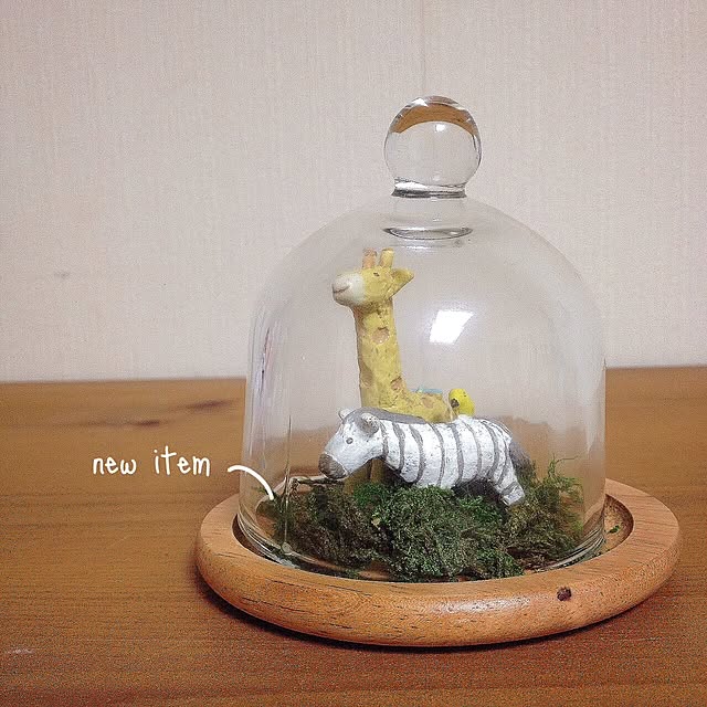 potakoさんの実例写真