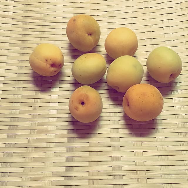 majoさんの実例写真