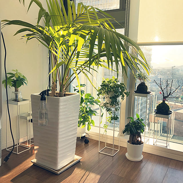 yamamidoさんの実例写真