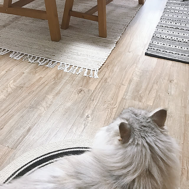 moon.mさんの実例写真