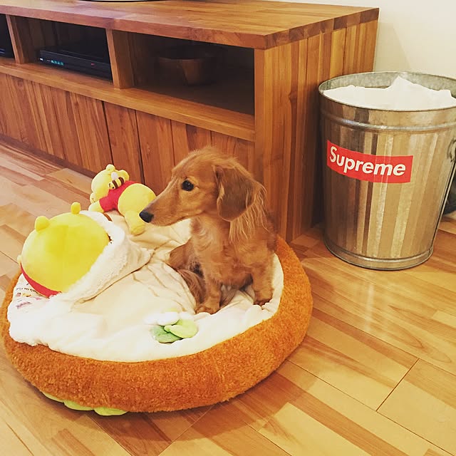 cocoaさんの実例写真