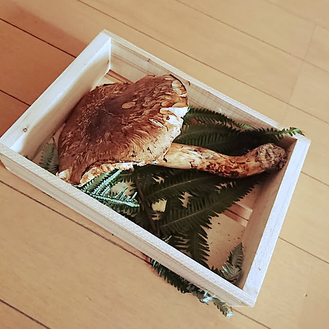 mkrさんの実例写真