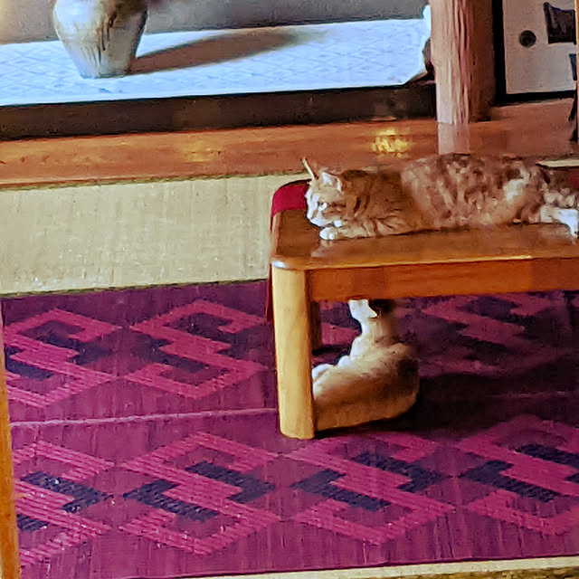 uchizukonyanさんの実例写真