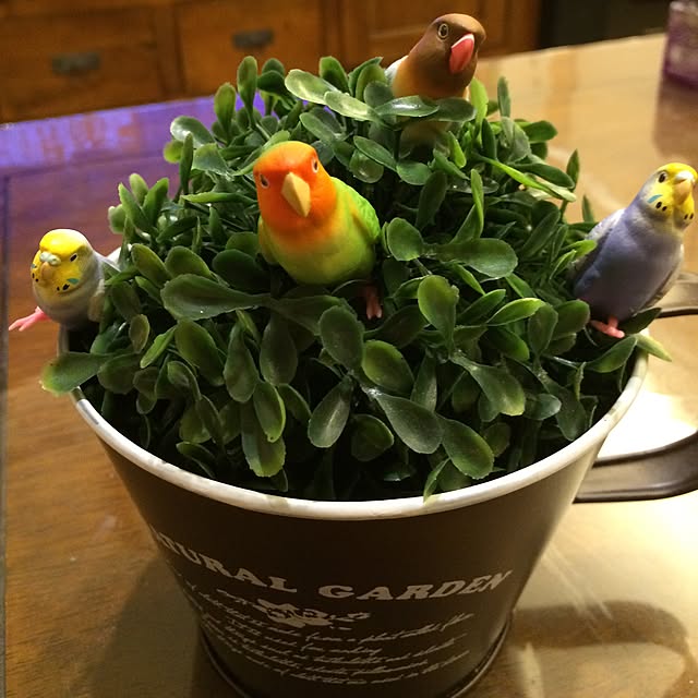 yokkochanさんの実例写真