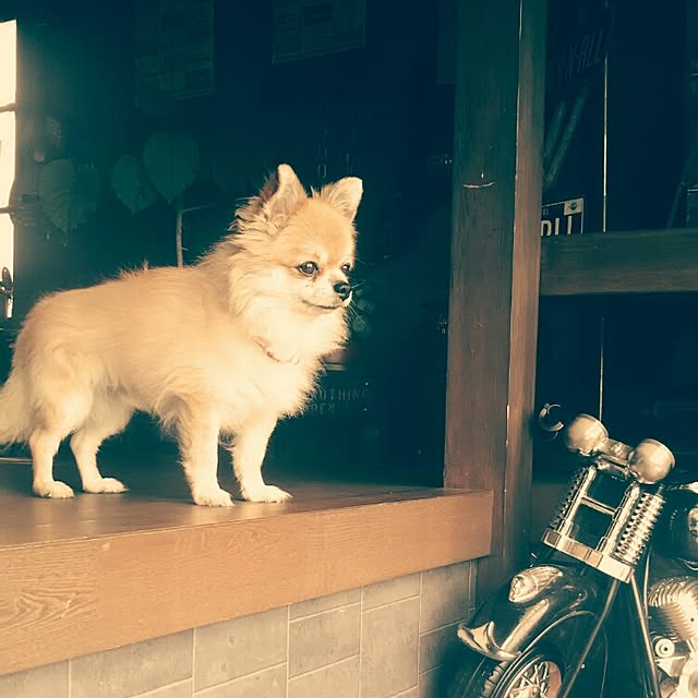 reksさんの実例写真