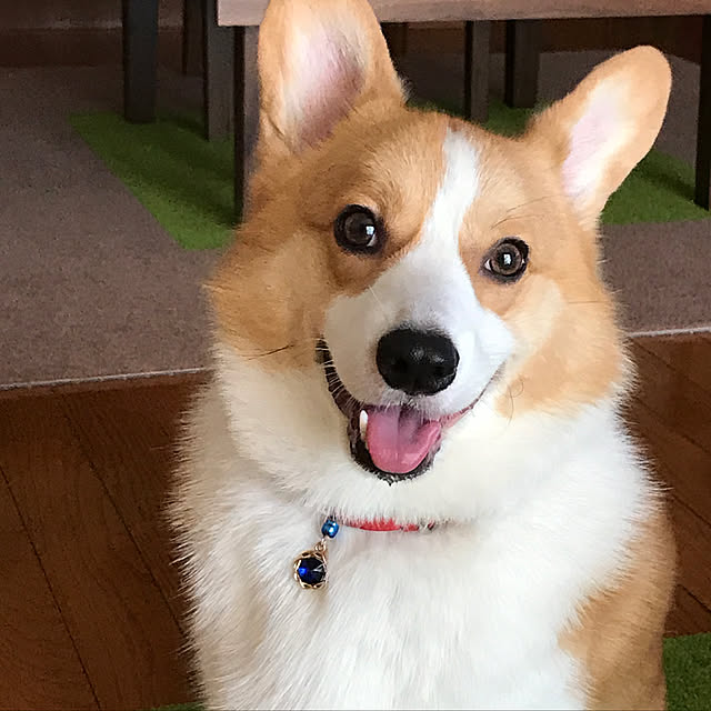 mocchanさんの実例写真