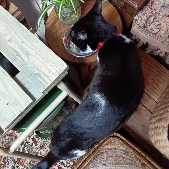 amoさんの実例写真