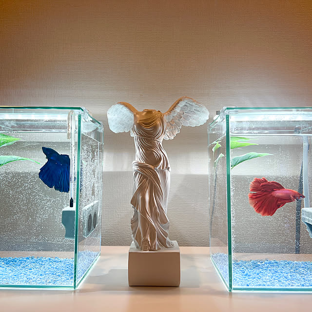 yuikさんの実例写真