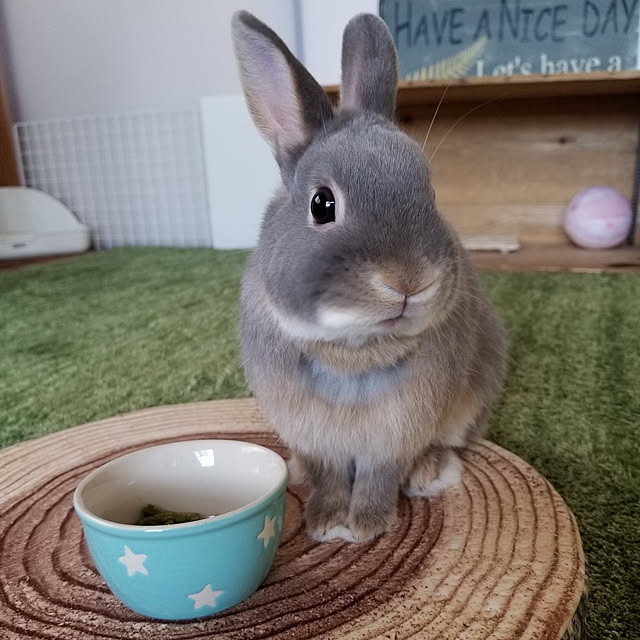 kominka_Lifeさんの実例写真