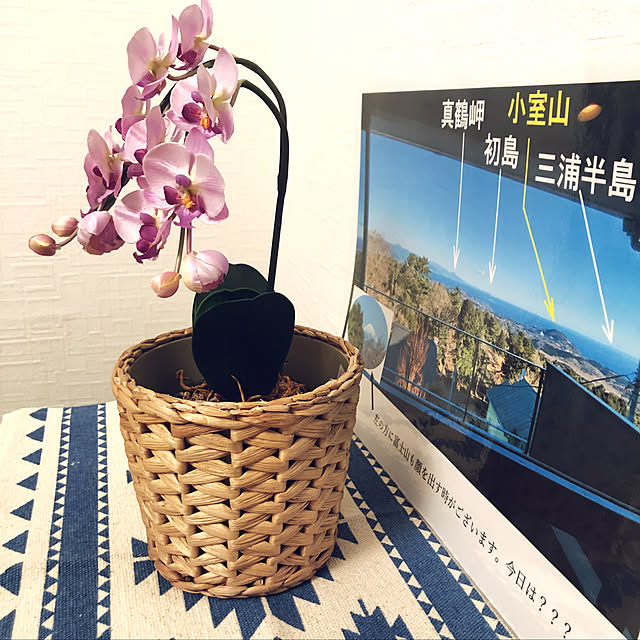 yukatavillaさんの実例写真