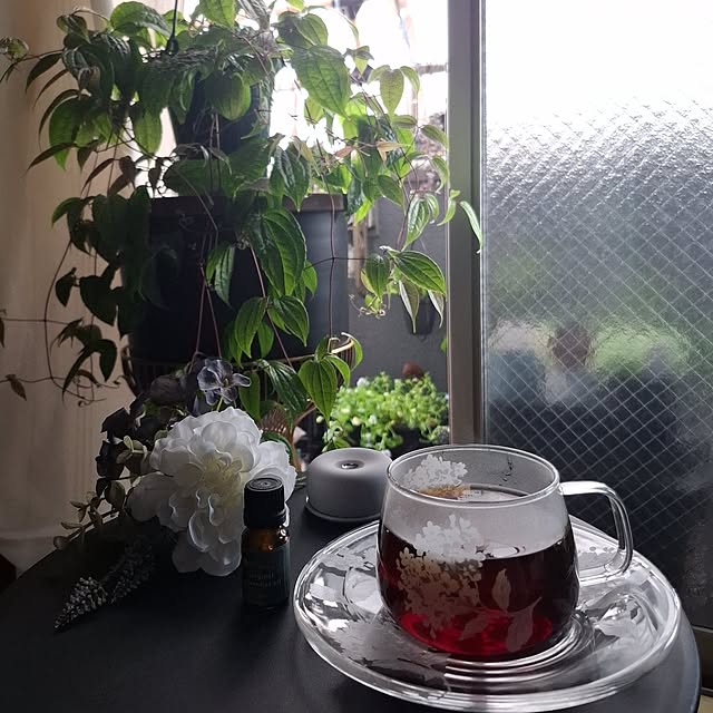 noaさんの部屋