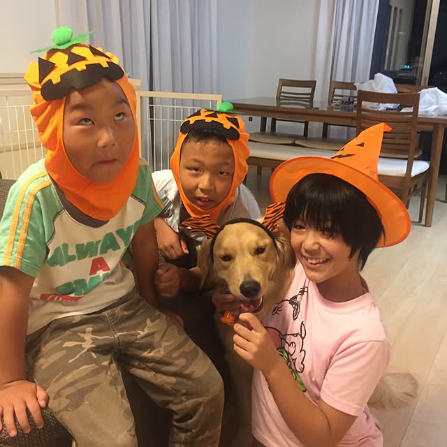 Kazueさんの実例写真