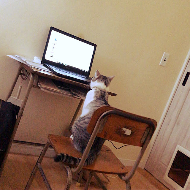 syungikuさんの実例写真