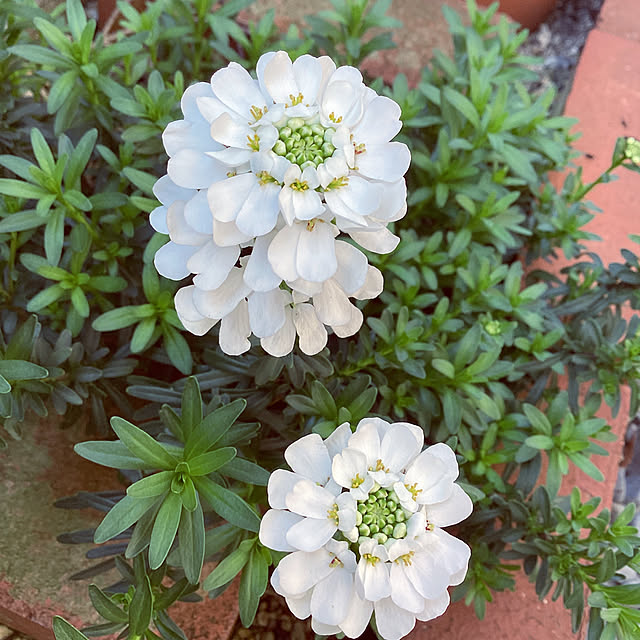 richanさんの実例写真