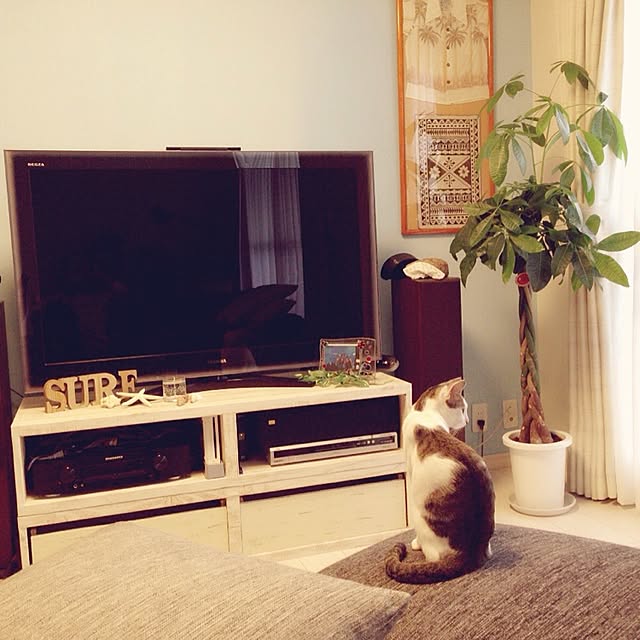 chachukomaさんの実例写真