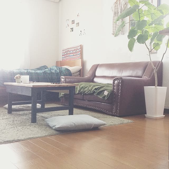 部屋全体/DIY/手作り/観葉植物のインテリア実例 - 2015-05-01 07:51:32