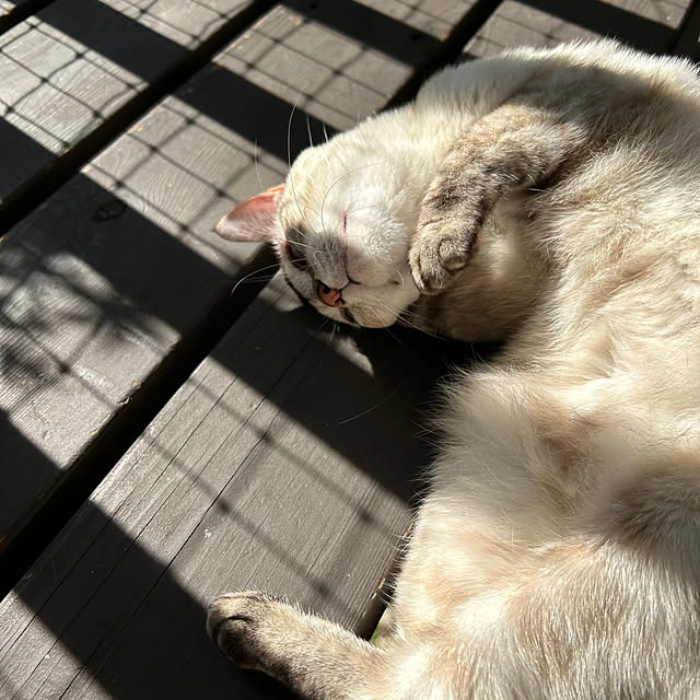 mozukuさんの部屋