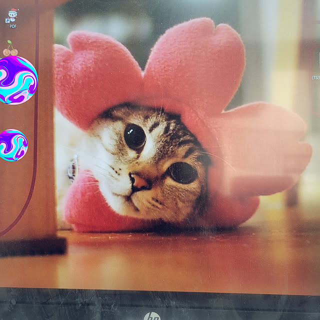 akimameさんの実例写真
