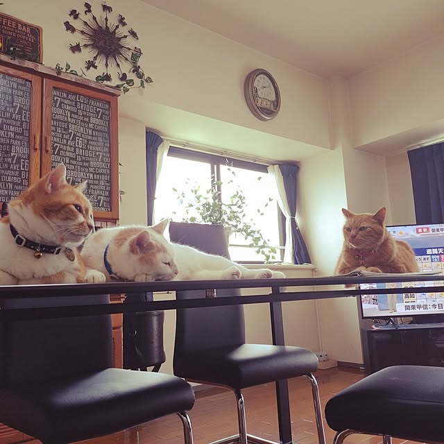 NOAHさんの実例写真