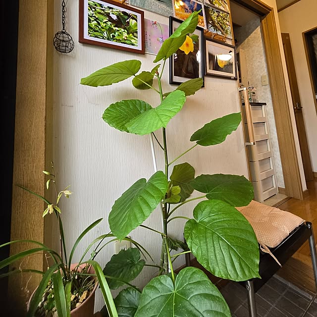 mitsuyama3136さんの部屋