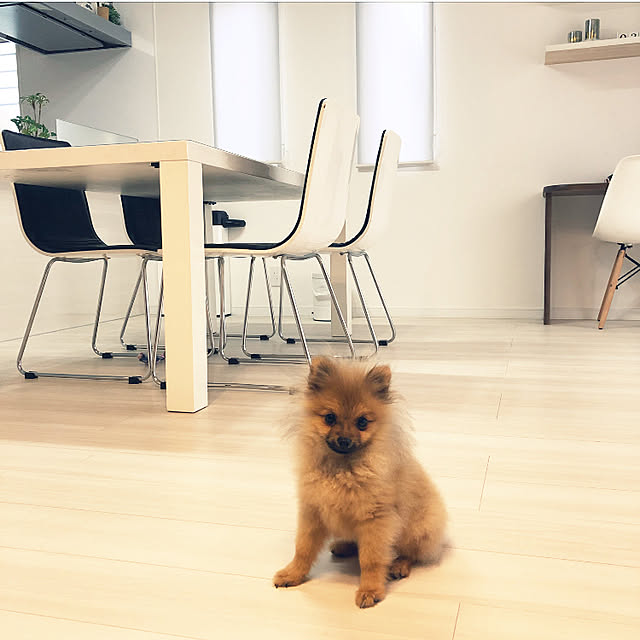 naaさんの実例写真