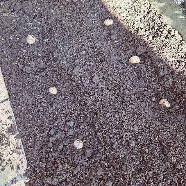 mocomocoさんの実例写真