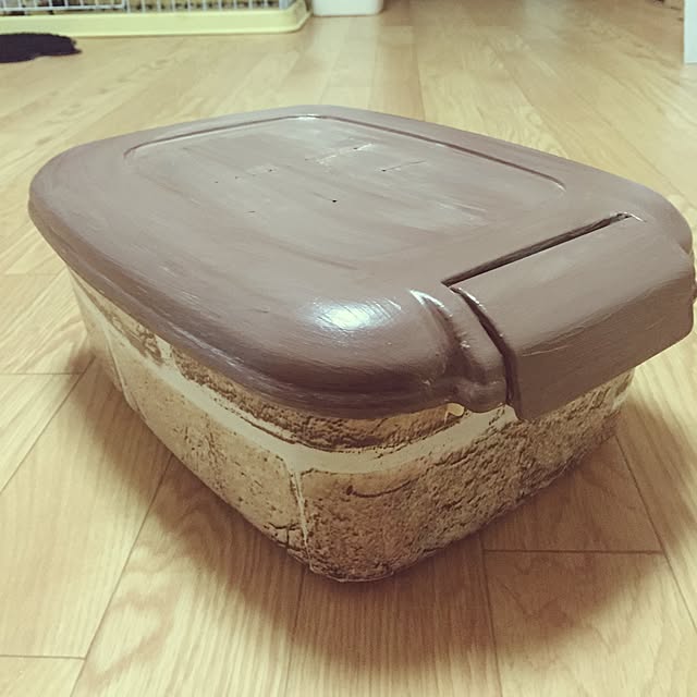 MiraiIrumiさんの実例写真