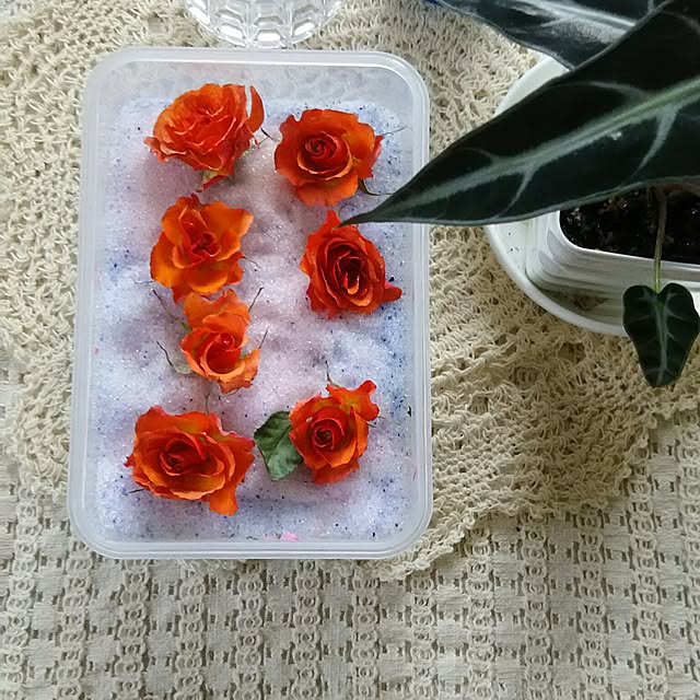 naopyiさんの実例写真