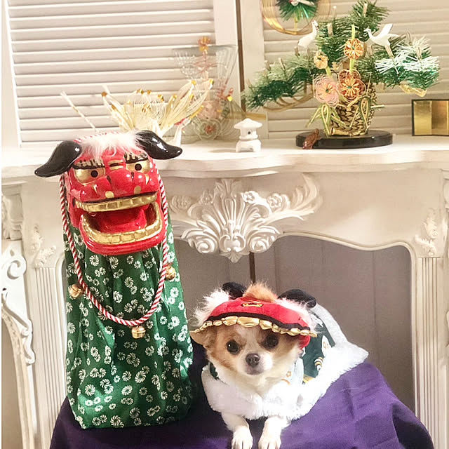 cocoさんの実例写真