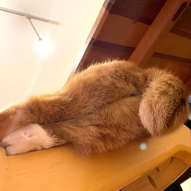 miecoroさんの実例写真