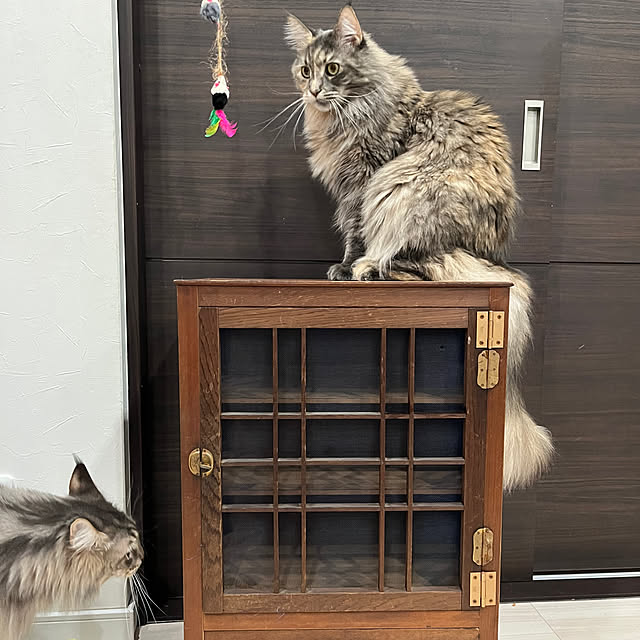 mayumiさんの部屋