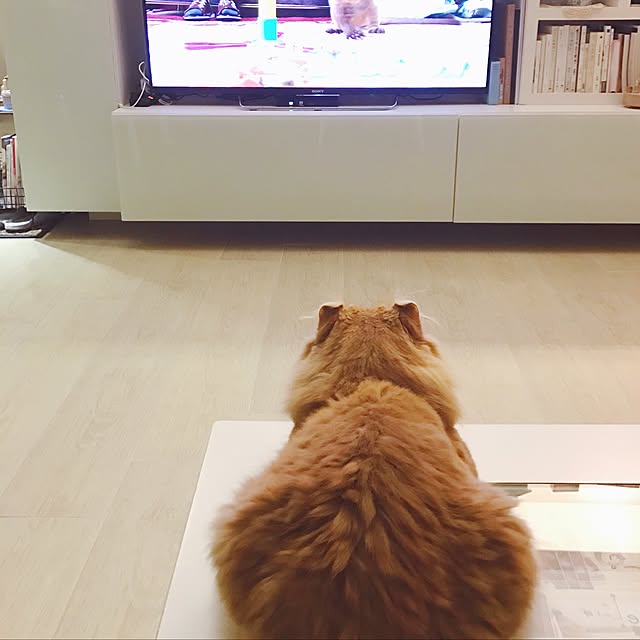 Belleさんの実例写真