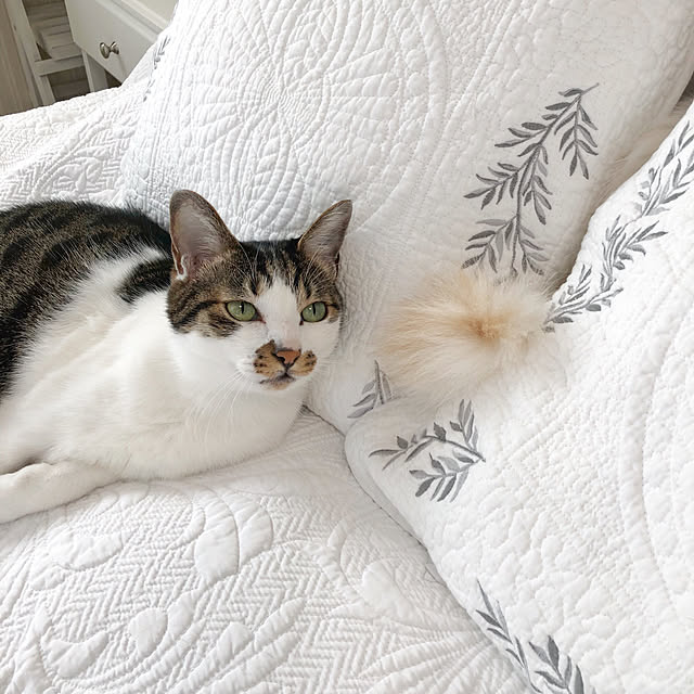yuchiさんの実例写真