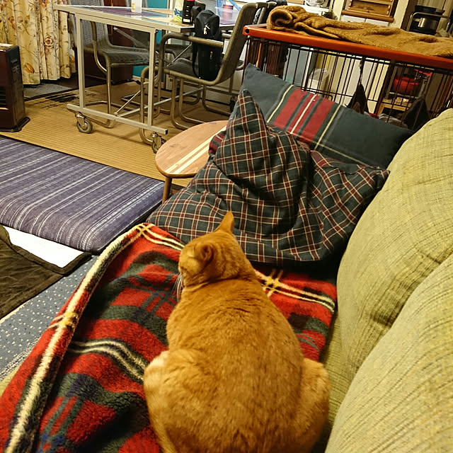 okyosan101さんの実例写真