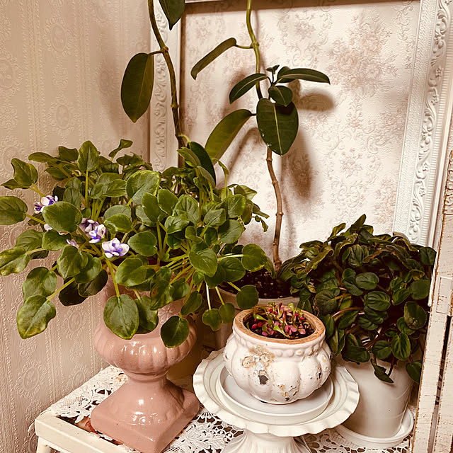 AYUKOさんの実例写真