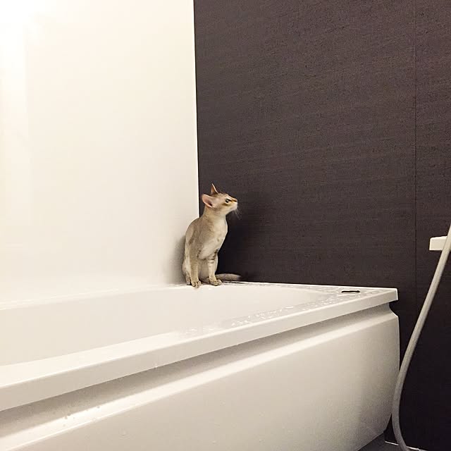 a-mkさんの実例写真
