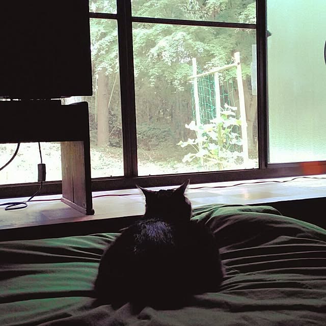 mairin318さんの実例写真