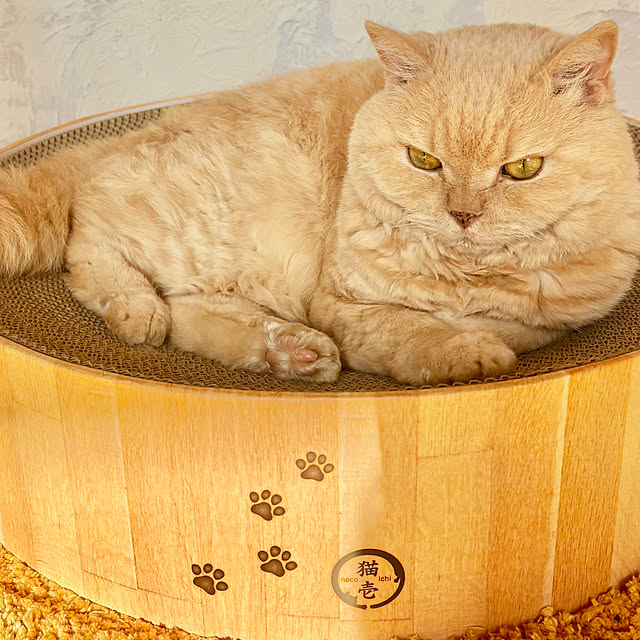 naokoさんの部屋