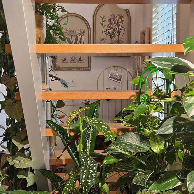 nonbiri_house_さんの部屋