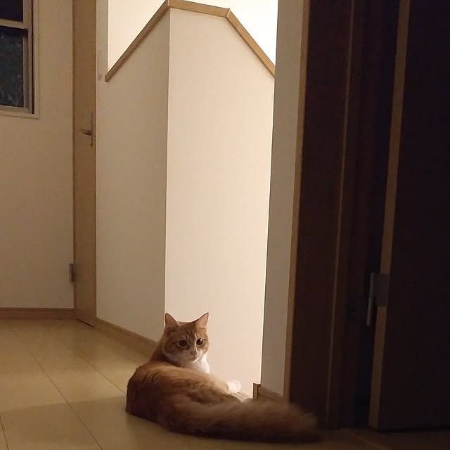 asu3728さんの実例写真