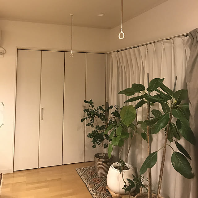 hirokanさんの実例写真