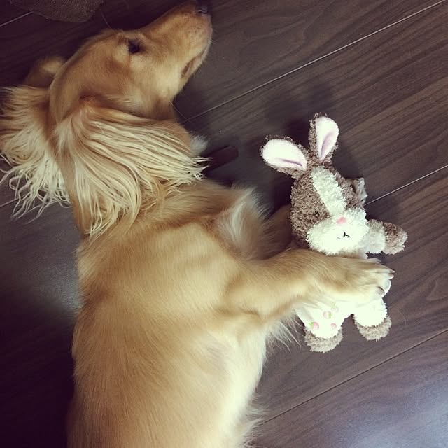 -Riley-mama.-さんの実例写真
