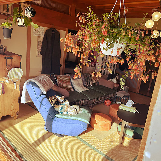 choroさんの実例写真