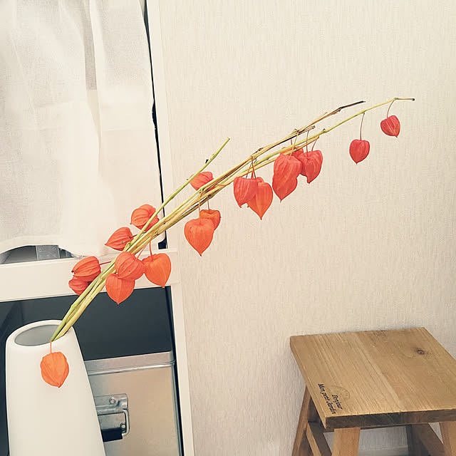 akimameさんの実例写真